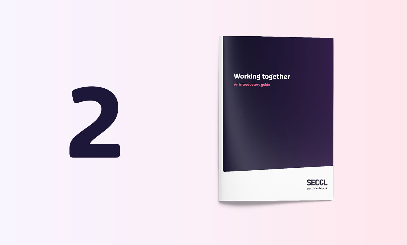 Working together: an introductory guide