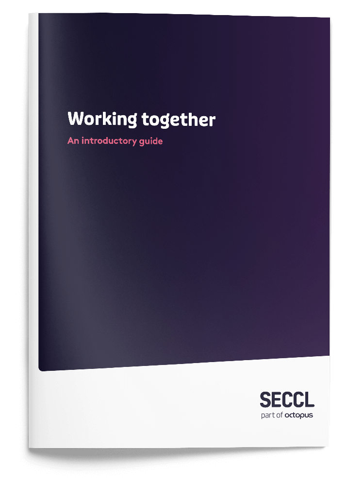 Working together: an introductory guide